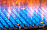 Shelvin gas fired boilers